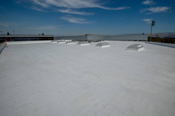 Trusted Douglas, MI Roofing Services Experts